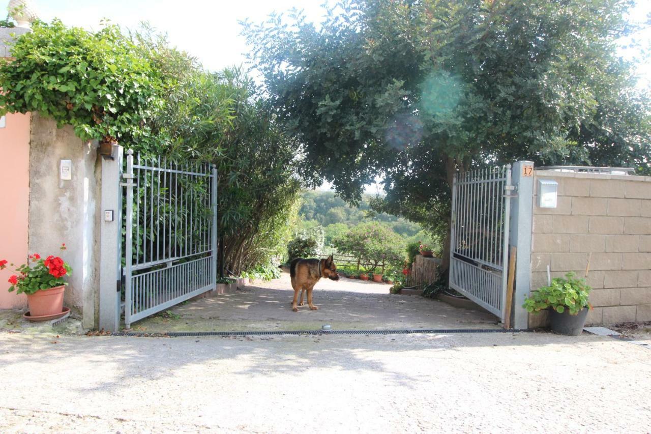 Casa de Campo Rita *
